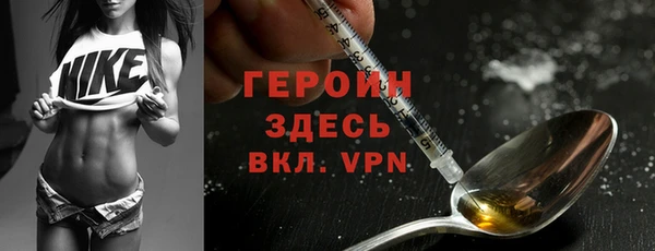 индика Горняк