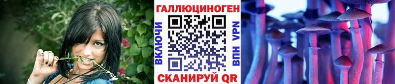 blacksprut сайт  Павлово  Галлюциногенные грибы GOLDEN TEACHER 