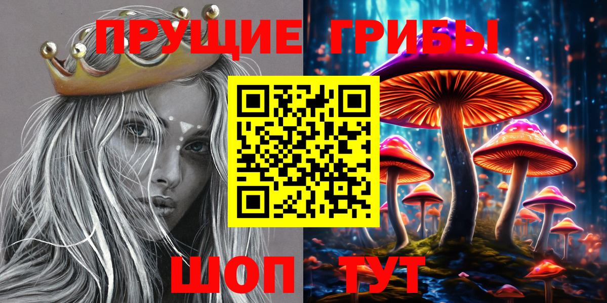 Галлюциногенные грибы Psilocybe Павлово